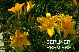 Berliner Premiere